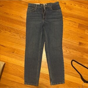 Everlane The Original Cheeky Jean in Dark Blue